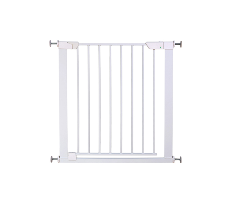 20243 Magnent auto close gate