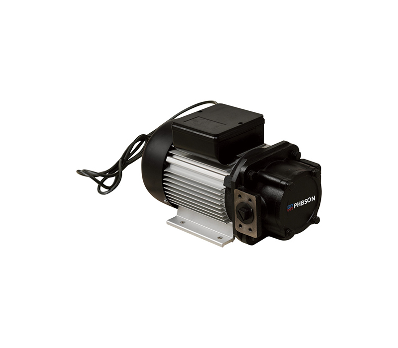 20131 13 GPM, 115V Gear oil pump 