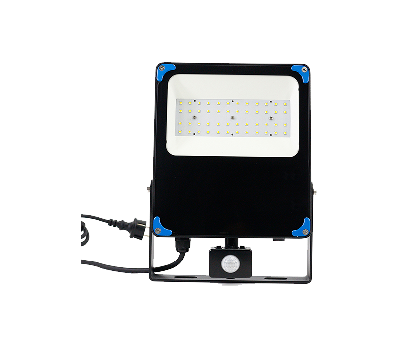 Dolphin series optical flood light 